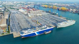 Promispecial Unveils Port